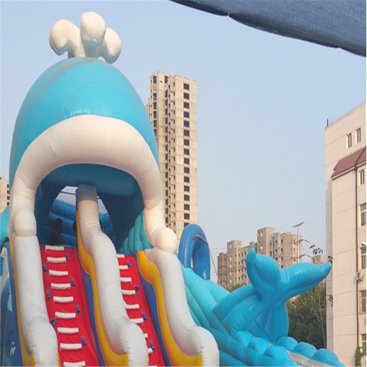 大渡口充气水上滑梯
